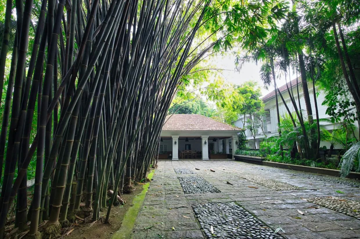 Bamboo Garden — Softouch Ayurveda Village Kerala