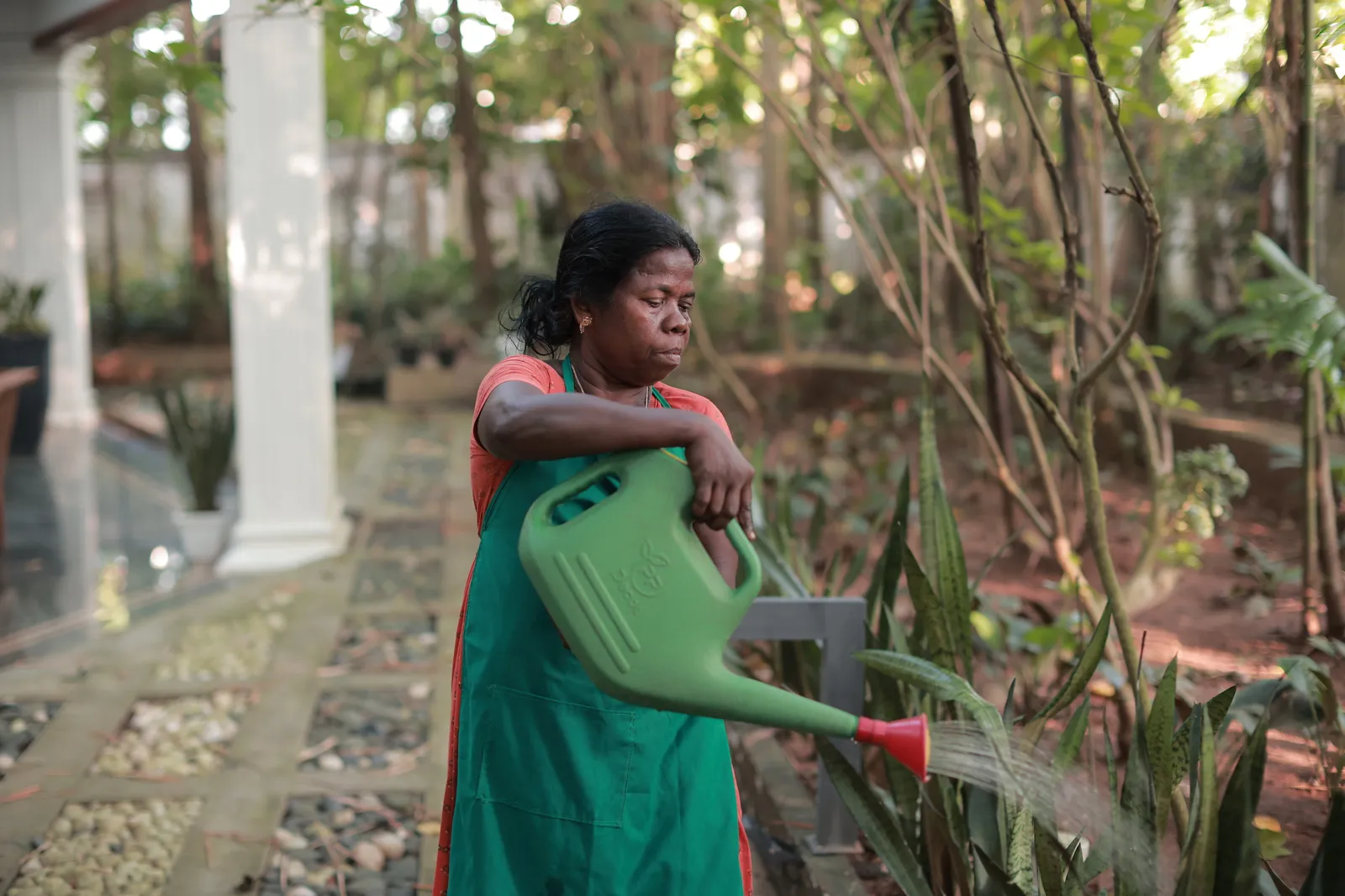 Herbal Garden Maintenance — Softouch Ayurveda Village Kerala