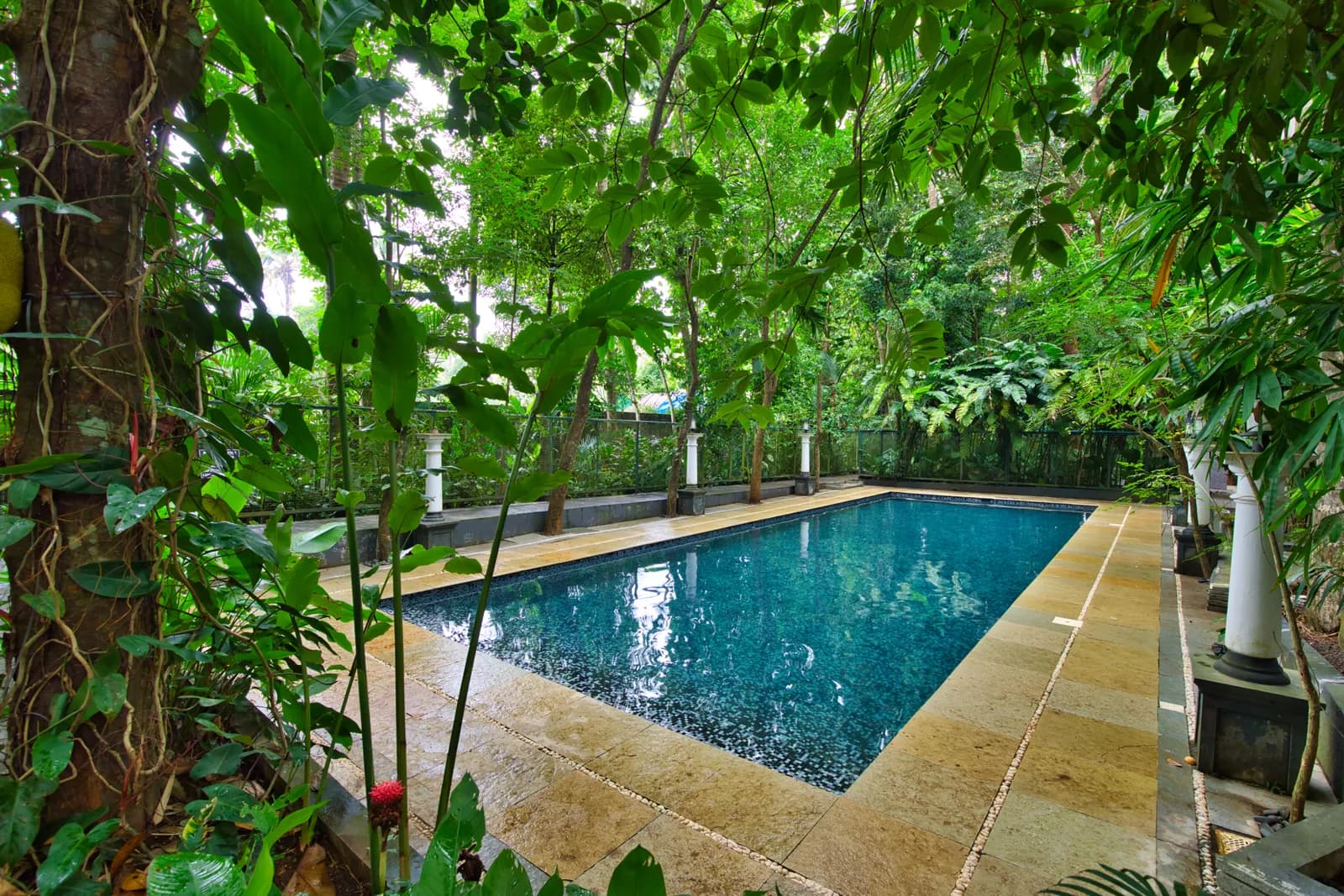 Main Swimming Pool — Softouch Ayurveda Village Kerala
