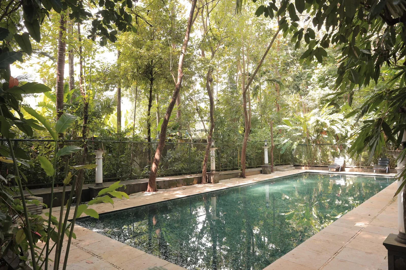 Morning View Swimming Pool — Softouch Ayurveda Village Kerala