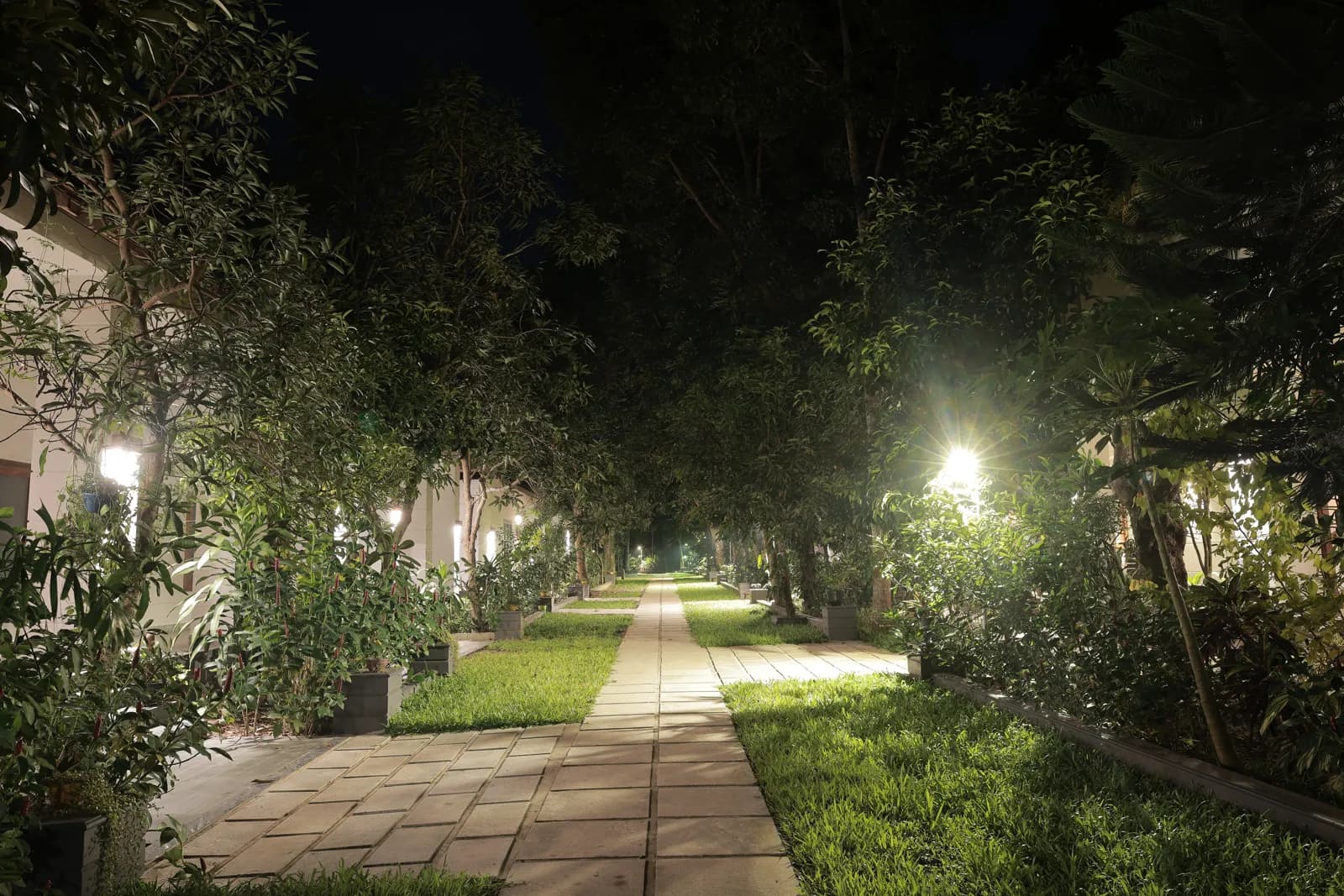 Resort Night View — Softouch Ayurveda Village Kerala