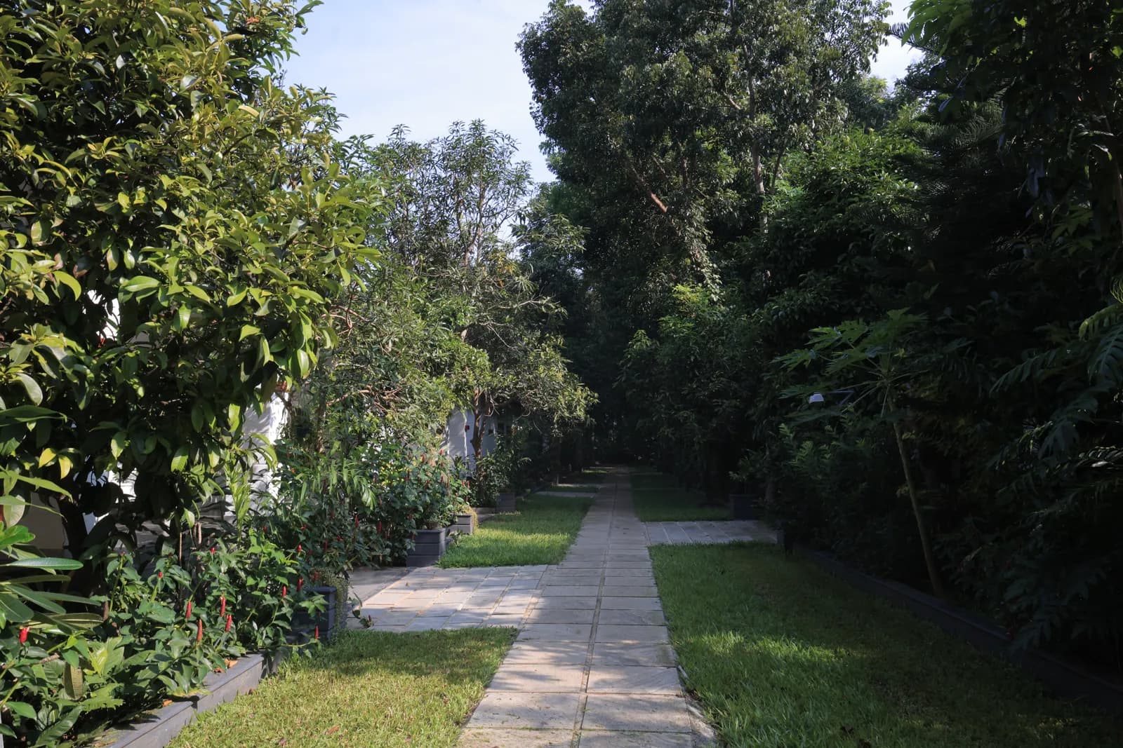 Resort Walkway — Softouch Ayurveda Village Kerala