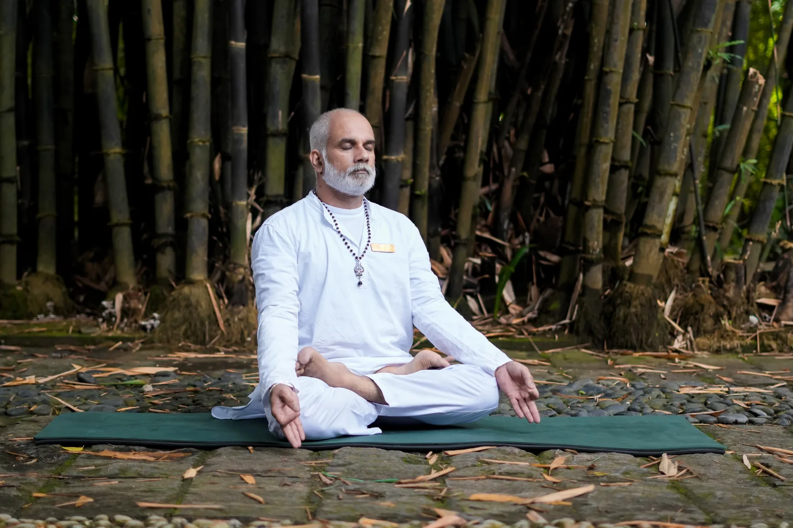 Sanjay, our yoga master, in meditation in the bamboo grove at Softouch Ayurveda Village, Kerala