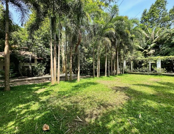 Garden view from Grand Villa at Softouch Ayurveda Village Kerala Resort