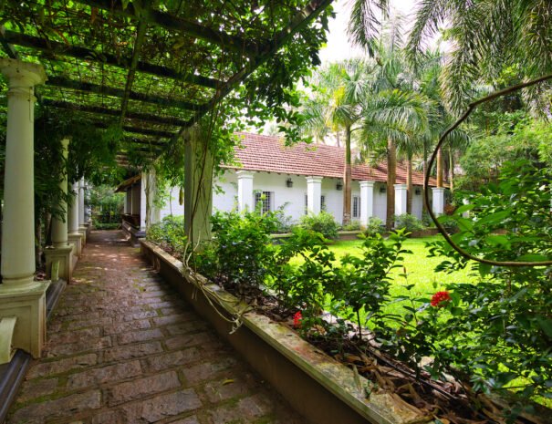 Exterior view of the Grand Villa at Softouch Ayurveda Village, Kerala, showcasing lush green lawns, privacy, and a scenic walkway, offering a serene and spacious retreat