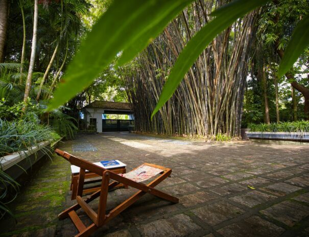 Serene garden view at Softouch Ayurveda Village in Kerala. Lush greenery, vibrant flowers, and a peaceful atmosphere create a tranquil oasis for relaxation and wellness. Experience the beauty of nature at the garden view of Softouch Ayurveda Village Kerala.