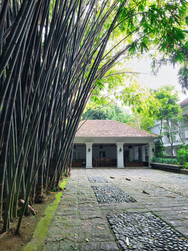 Serene Bamboo atmosphere at Softouch Ayurveda Village Kerala - a tranquil, cool, and green environment promoting calmness and relaxation