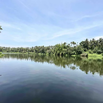 Soak in tropical sunshine, enjoy fresh juices, and admire the Chalakudy river view. Try riverbank fishing; we'll cook your catch the next day if you succeed.