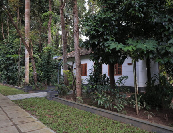 Grand Cottage – side view at Softouch Ayurveda Village & Resort Kerala