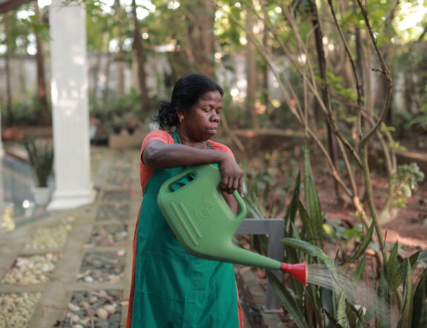 Papachi - Gardening at Softouch Ayurveda Village Kerala