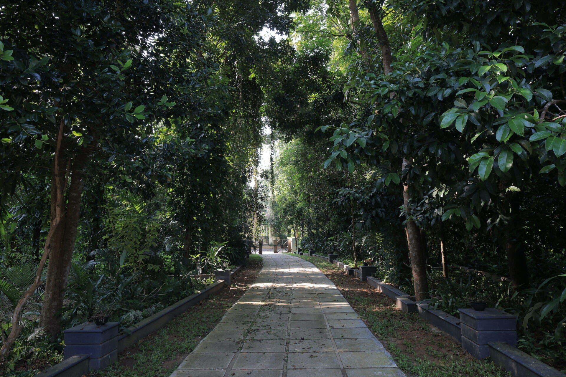 Walkway at Softouch Ayurveda Vilage & Resort Kerala